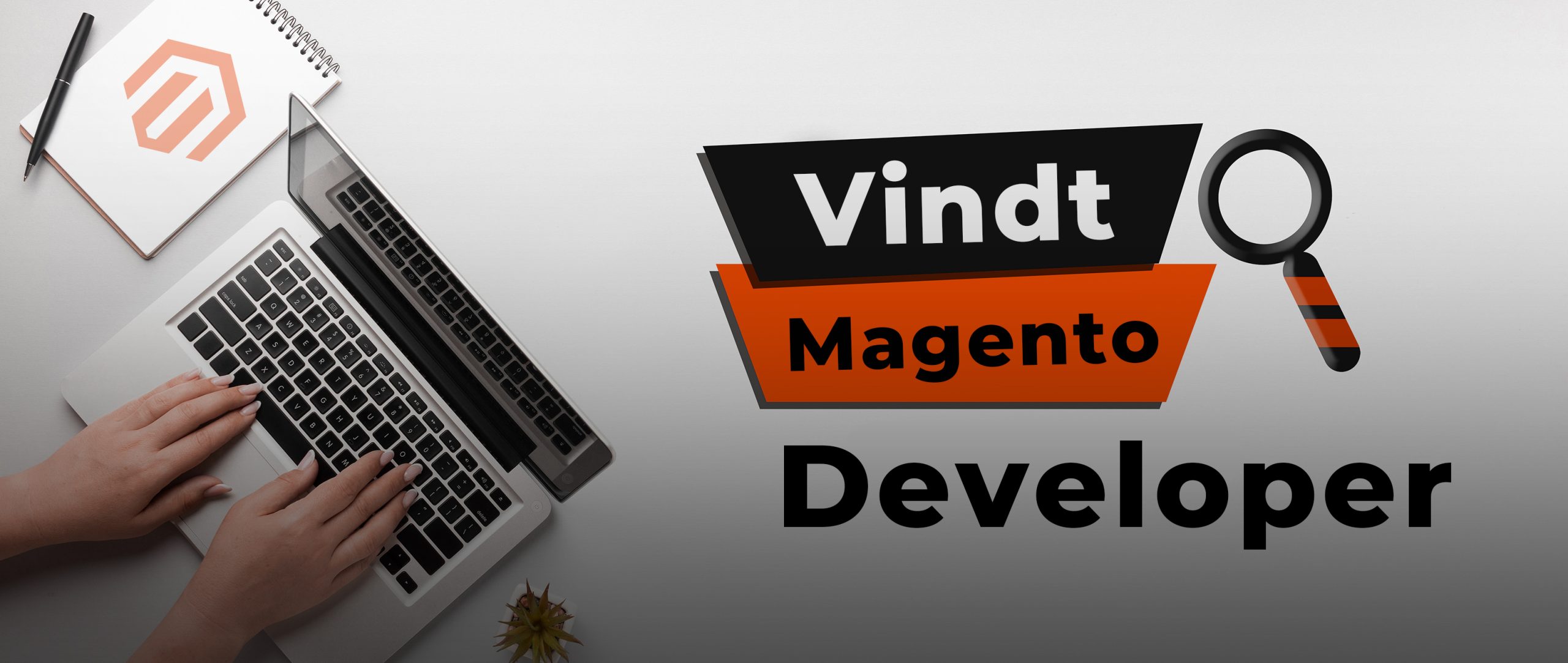 magento developer