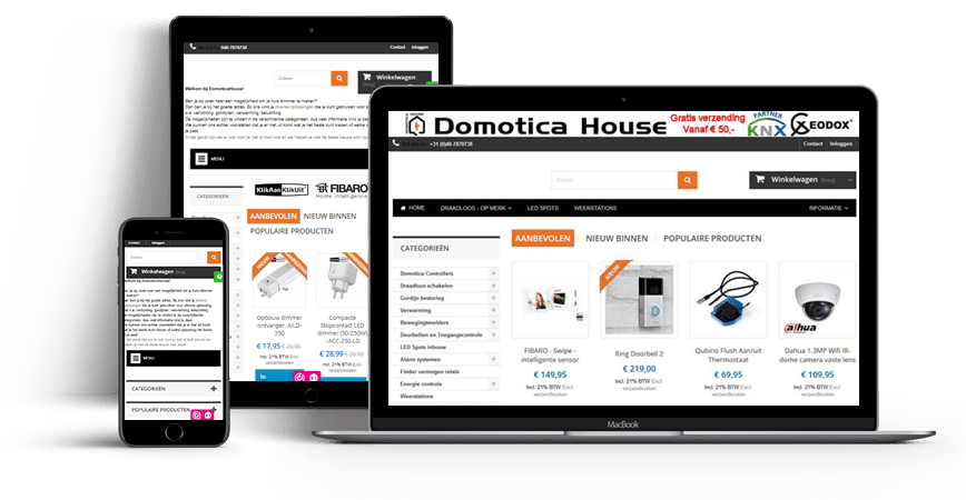 Domotica House